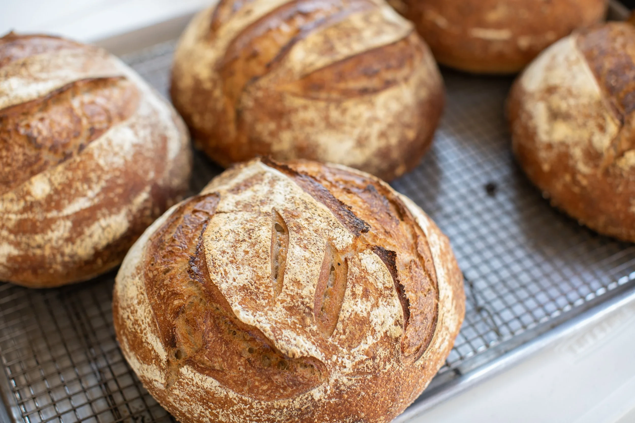 Breads